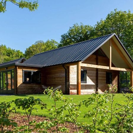 Cosy Wooden House Amid Woods In Soesterberg Utrecht Luaran gambar